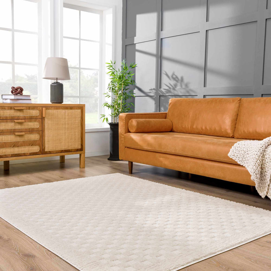 Ivory textured checkered rug in a living room with a leather sofa