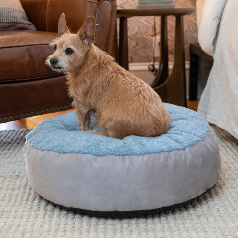 Small dog sitting on Robbi Round small pet bed