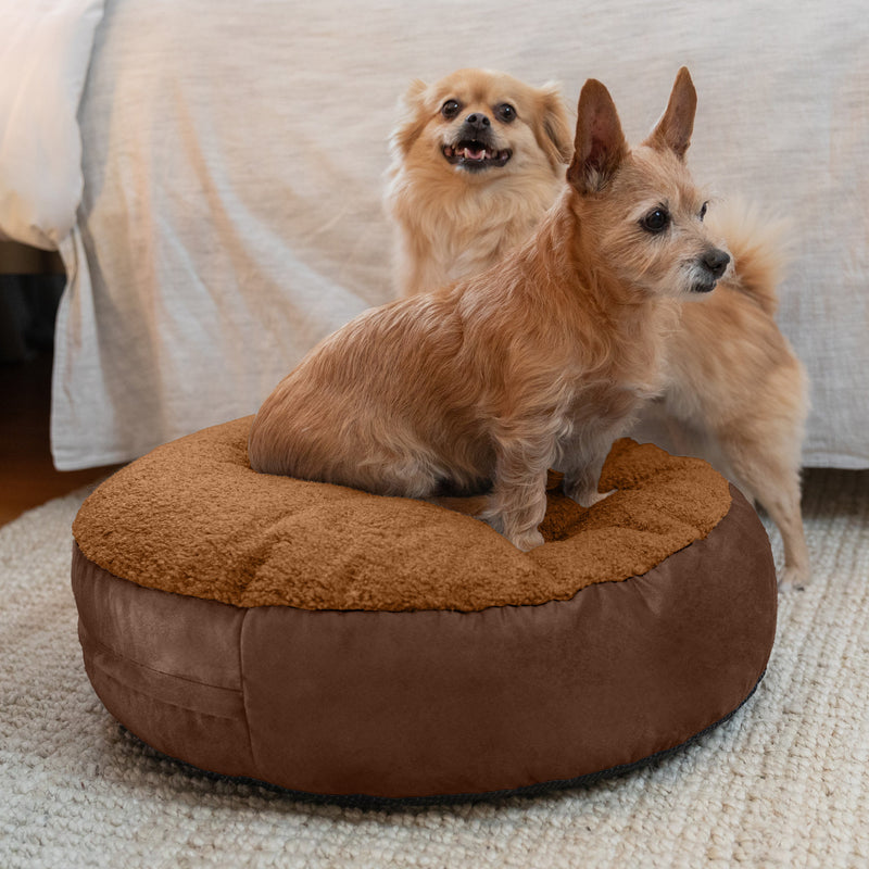Two dogs on Robbi bed in brown