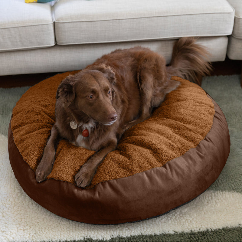 Robbi Medium in Caramel Teddy