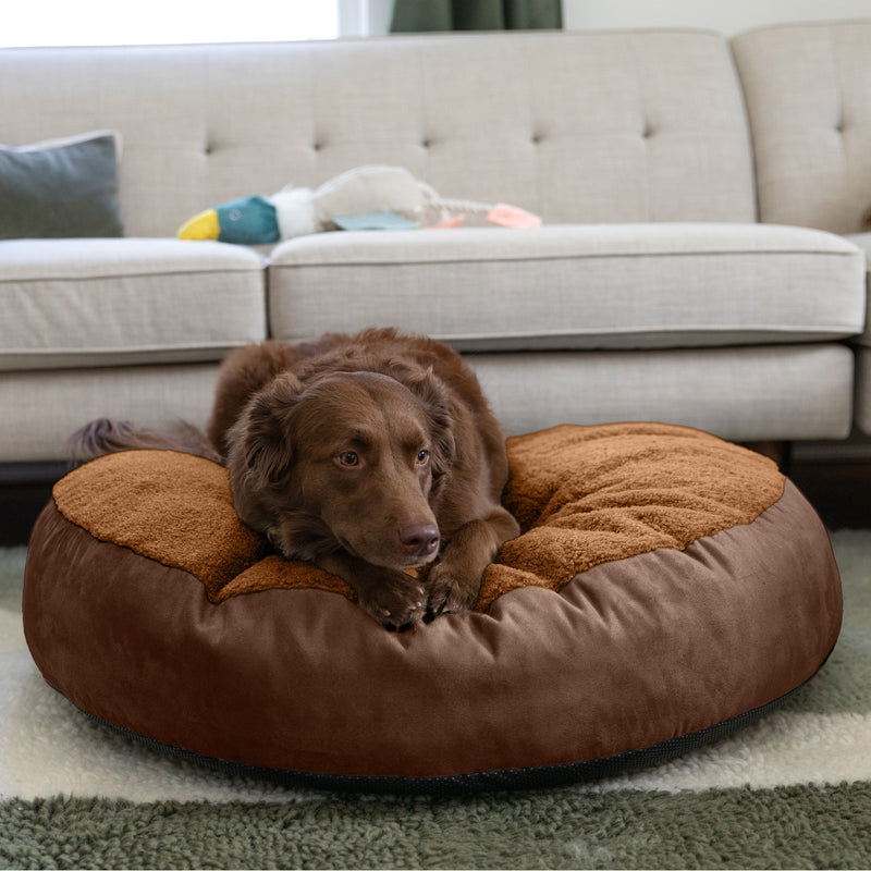 Dog lying on a brown dog bed in a living room.