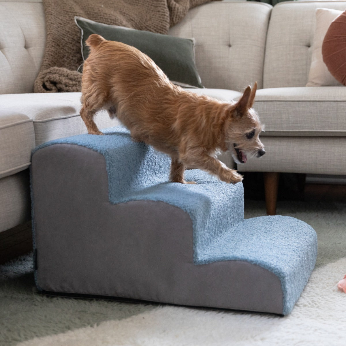 Dog stepping down Dubb Pet steps