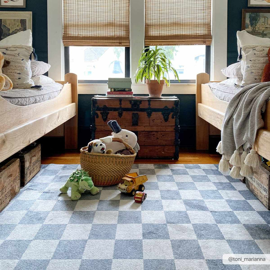 Alie gray checkered washable rug in a living room with a dog