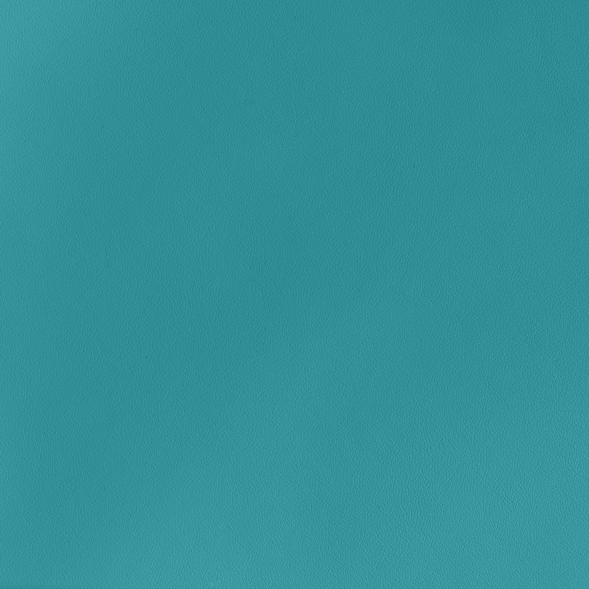 Aqua Vinyl