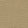 Buckskin Ultraleather fabric swatch