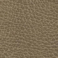Saddle Ultraleather fabric swatch