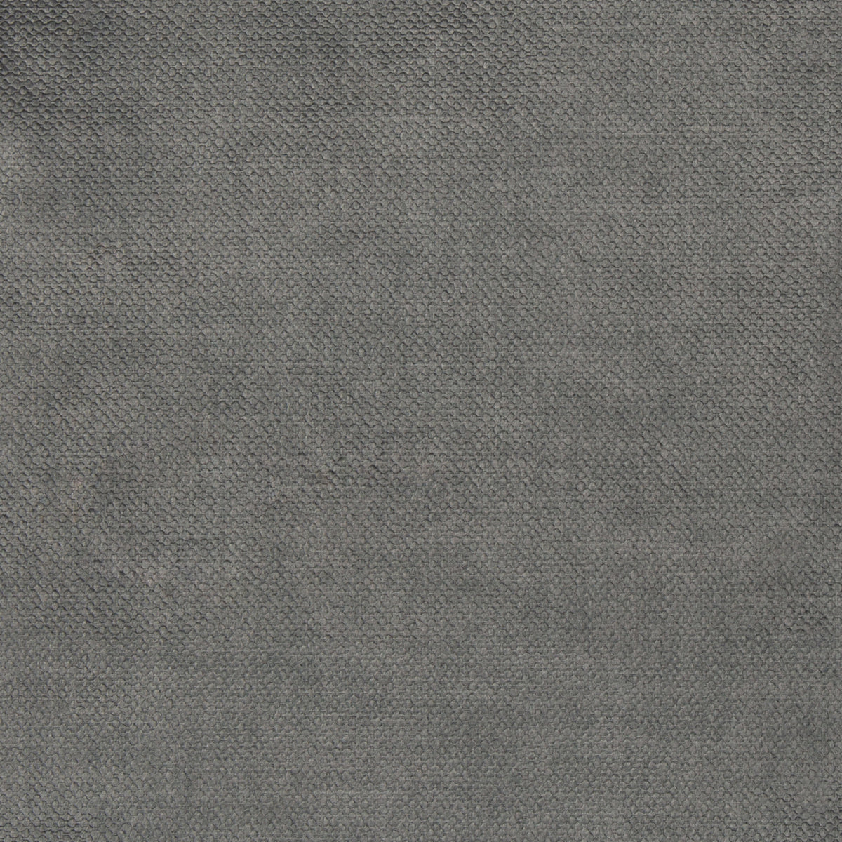 Elephant Gray FibreGuard Indulge Microvelvet