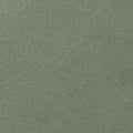 Green Lush Velvet fabric swatch