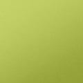 Green Vinyl fabric swatch