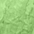 Lime Faux Fur fabric swatch