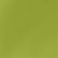 Lime Vinyl fabric swatch