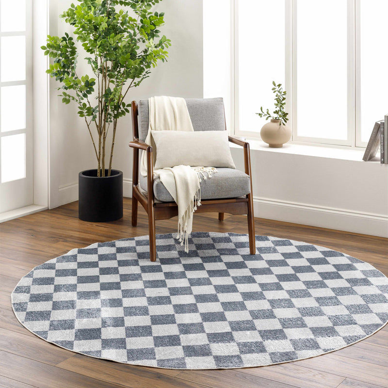 Alie checkered rug in a bright living room with plants