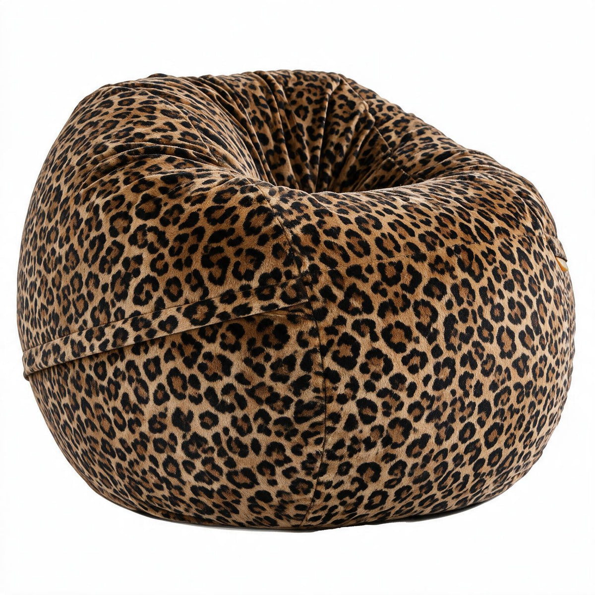 Cheetah Print Bean Bag