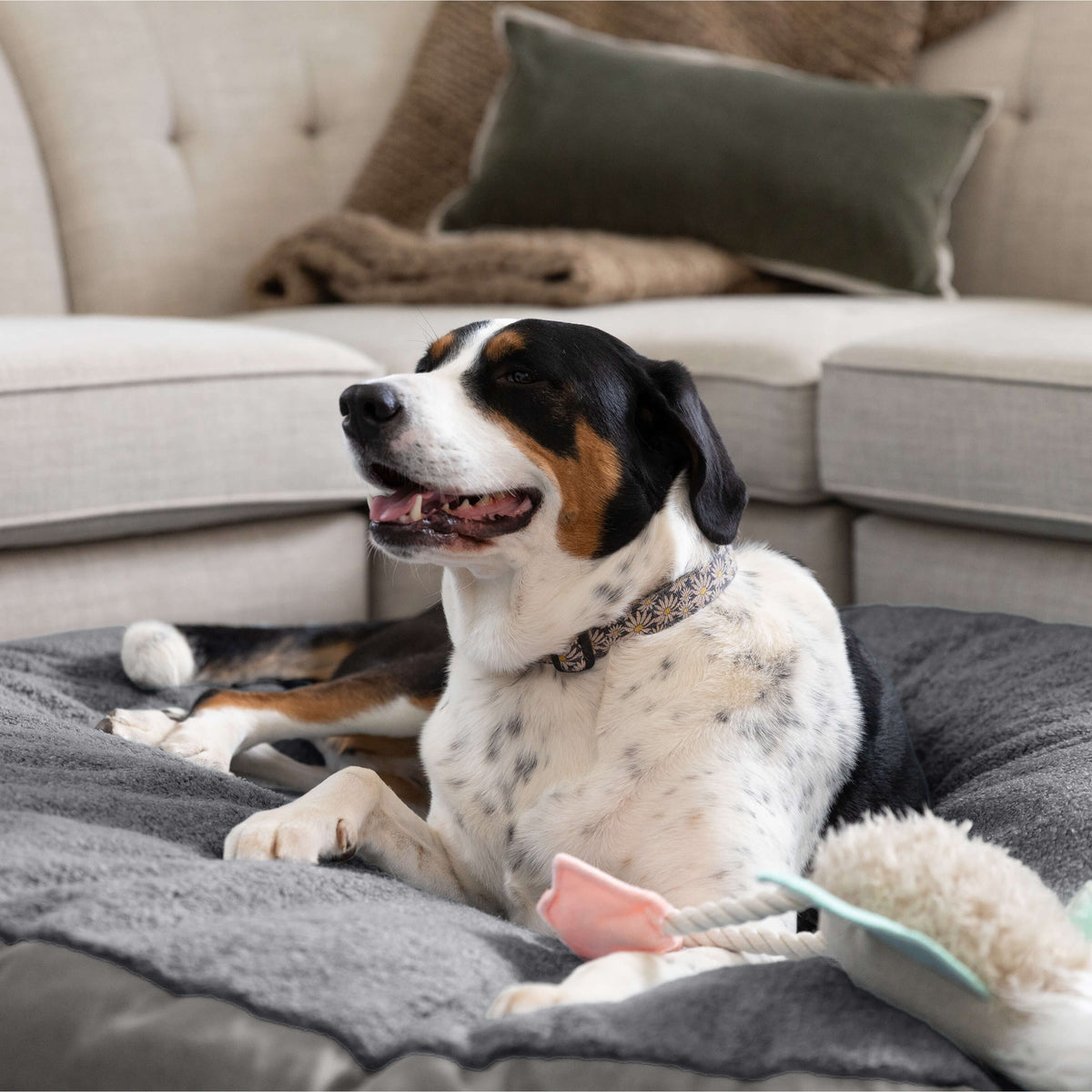 Snuggle-Worthy Softness
