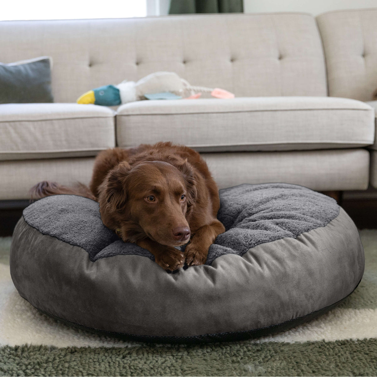 Snuggle-Worthy Softness