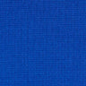 Royal Blue Spandex