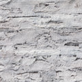 Silver Fox Faux Fur fabric swatch