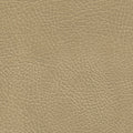 Buckskin Ultraleather fabric swatch